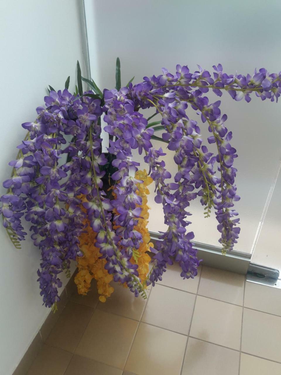 Hotel Casa Jardin Asuncion Buitenkant foto